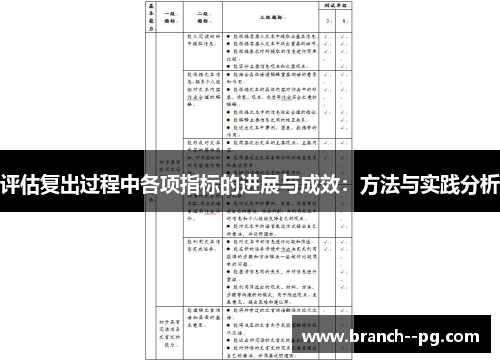 评估复出过程中各项指标的进展与成效：方法与实践分析