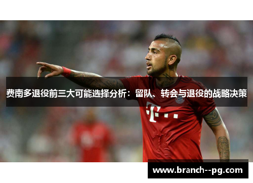 费南多退役前三大可能选择分析:留队、转会与退役的战略决策 费南多退役前三大可能选择分析:留队、转会与退役的战略决策