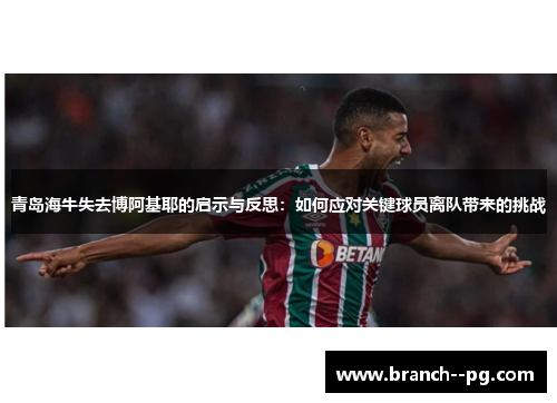 青岛海牛失去博阿基耶的启示与反思:如何应对关键球员离队带来的挑战 青岛海牛失去博阿基耶的启示与反思:如何应对关键球员离队带来的挑战