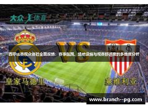西甲比赛观众体验全面反馈：赛事氛围、场地设施与观赛舒适度的多维度分析