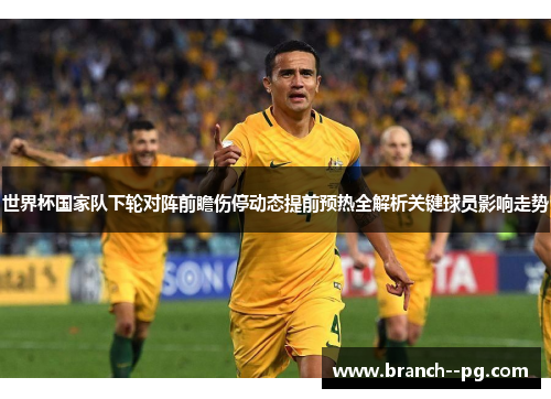 世界杯国家队下轮对阵前瞻伤停动态提前预热全解析关键球员影响走势