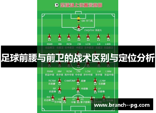 足球前腰与前卫的战术区别与定位分析