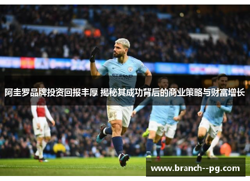 阿圭罗品牌投资回报丰厚 揭秘其成功背后的商业策略与财富增长