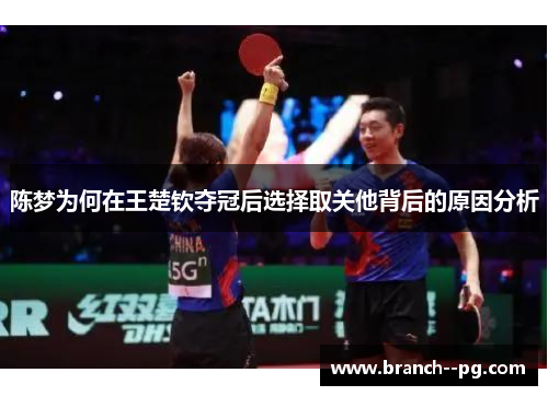 陈梦为何在王楚钦夺冠后选择取关他背后的原因分析