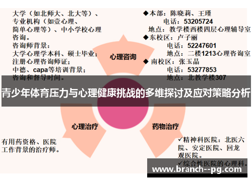 青少年体育压力与心理健康挑战的多维探讨及应对策略分析 青少年体育压力与心理健康挑战的多维探讨及应对策略分析