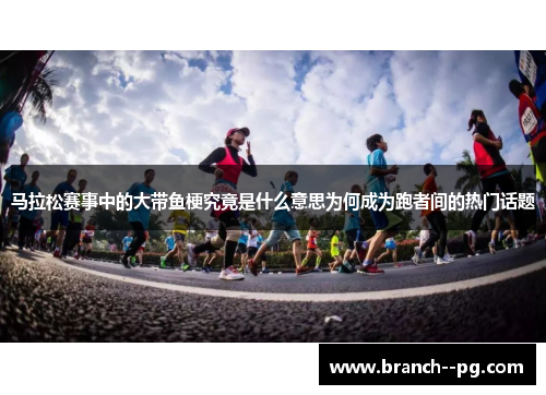 马拉松赛事中的大带鱼梗究竟是什么意思为何成为跑者间的热门话题
